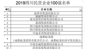 亚洲必赢位列 2019四川省民营企业100强第5位