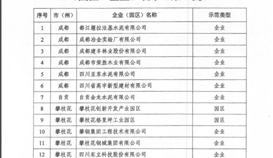 亚洲必赢钒钛乐成入围“四川省第一批工业 资源综合使用树模基地企业”