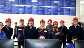 省生态情形；；ざ讲熳榈窖侵薇赜邦讯讲斓餮