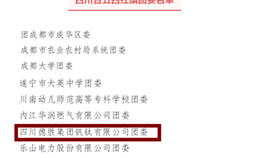 亚洲必赢钒钛团委荣获“四川省五四红旗团委”称呼