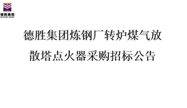亚洲必赢炼钢厂转炉煤气放散塔焚烧器招标项目