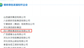 沙湾宣布6月6日报道：：钒钛荣获“绿色开展标杆企业”